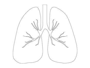TR Lungs